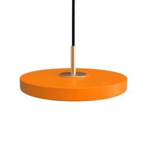 Asteria micro - Orange