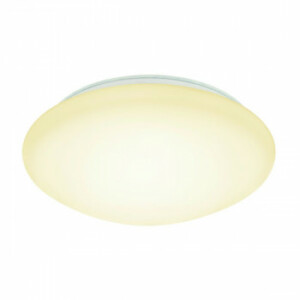 Basic Plafond Ø29 LED