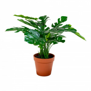 Kunsttræ - Monstera