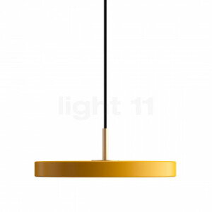 Asteria Medium Gul