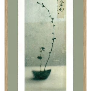 Growing - Artist Paper