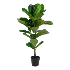 Fiddle Violinfigen Kunstig plante, grøn H:100 cm