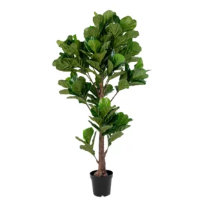 Fiddle Violinfigen Kunstig plante, grøn H:190 cm
