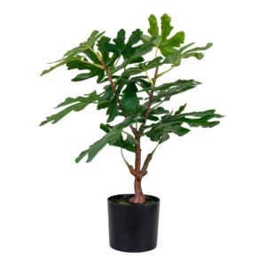 Figentræ Kunstig plante, grøn H: 60cm