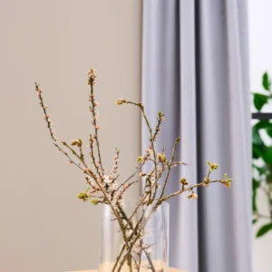 Vase cylinder Ø15 H20 cm