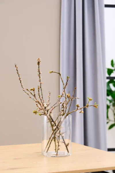 Vase cylinder Ø15 H20 cm